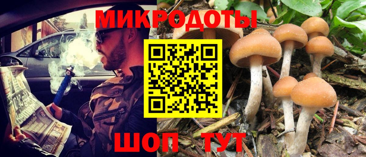 Галлюциногенные грибы Psilocybe Бугульма